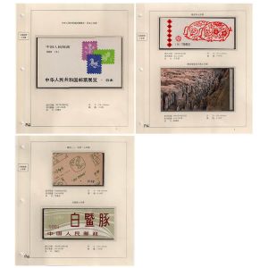 小本票大全